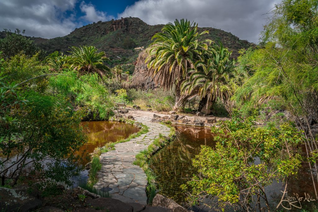Dieses Bild zeigt den Botanischen Garten auf Gran Canaria