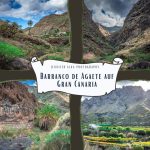 Dieses Bild zeigt 4 Einzelbilder aus der Barranco de Agaete auf Gran Canaria. Alle Bilder zeigen die herrliche Natur in der von Felswänden umgebenen Schlucht