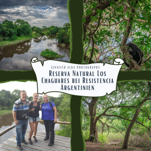 Dieses Bild zeigt 4 Einzelbilder vom Reserva Natural Los Chaguares bei Resistencia / Argentinien. Bild 1 der Fluss. Bild 2 Affe in den Bäumen. Bild 3 meine argentinischen Freunde und ich. Bild 4 alte Bäume.