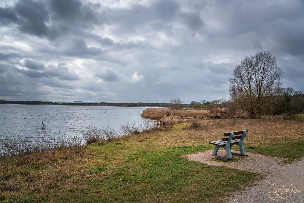 Dieses Bild zeigt eine Sitzbank am Ufer vom Rothsee