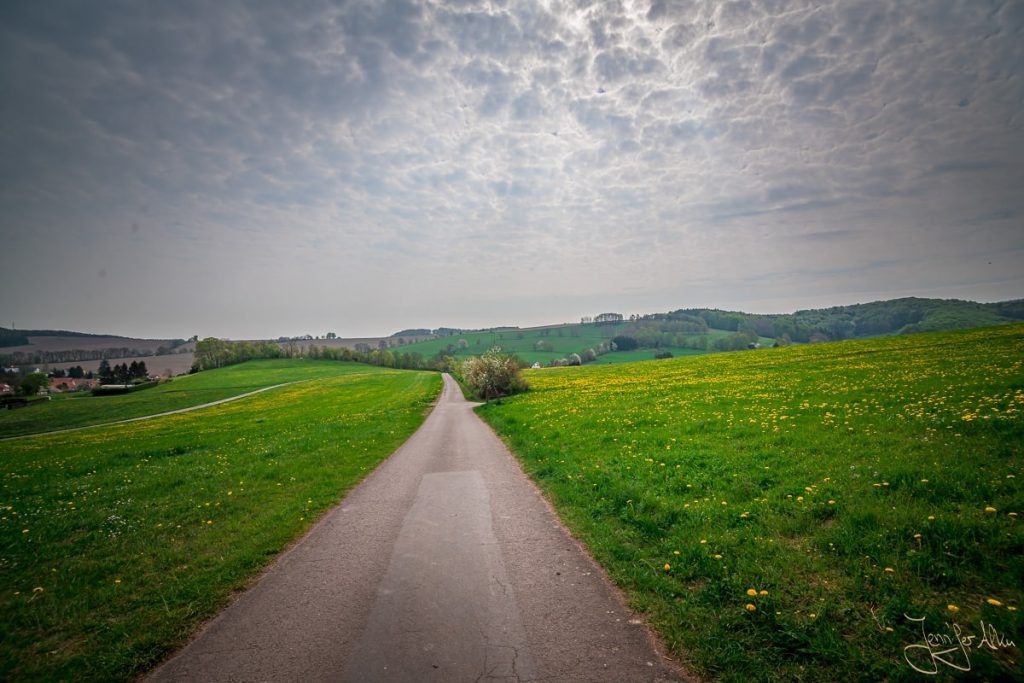 Dieses Bild zeigt den Wanderweg im Hölltal bei Mosbach.