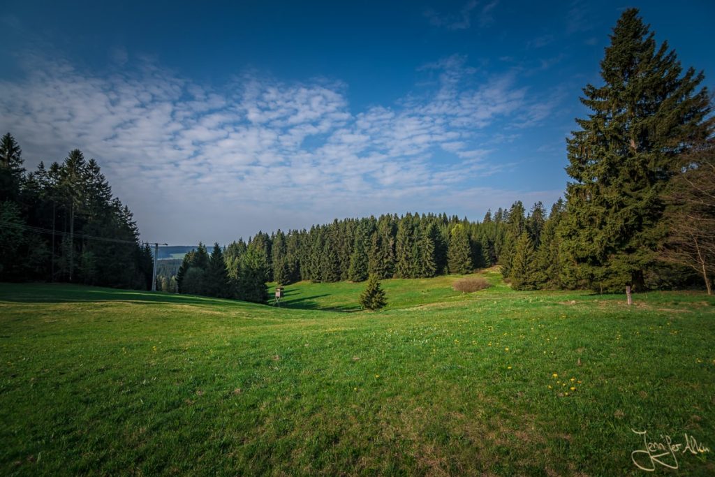 Dieses Bild zeigt eine malerische Wiese im Thüringer Wald